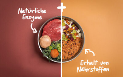 Roh oder gekocht? Warum die Zubereitung für deinen Hund entscheidend ist